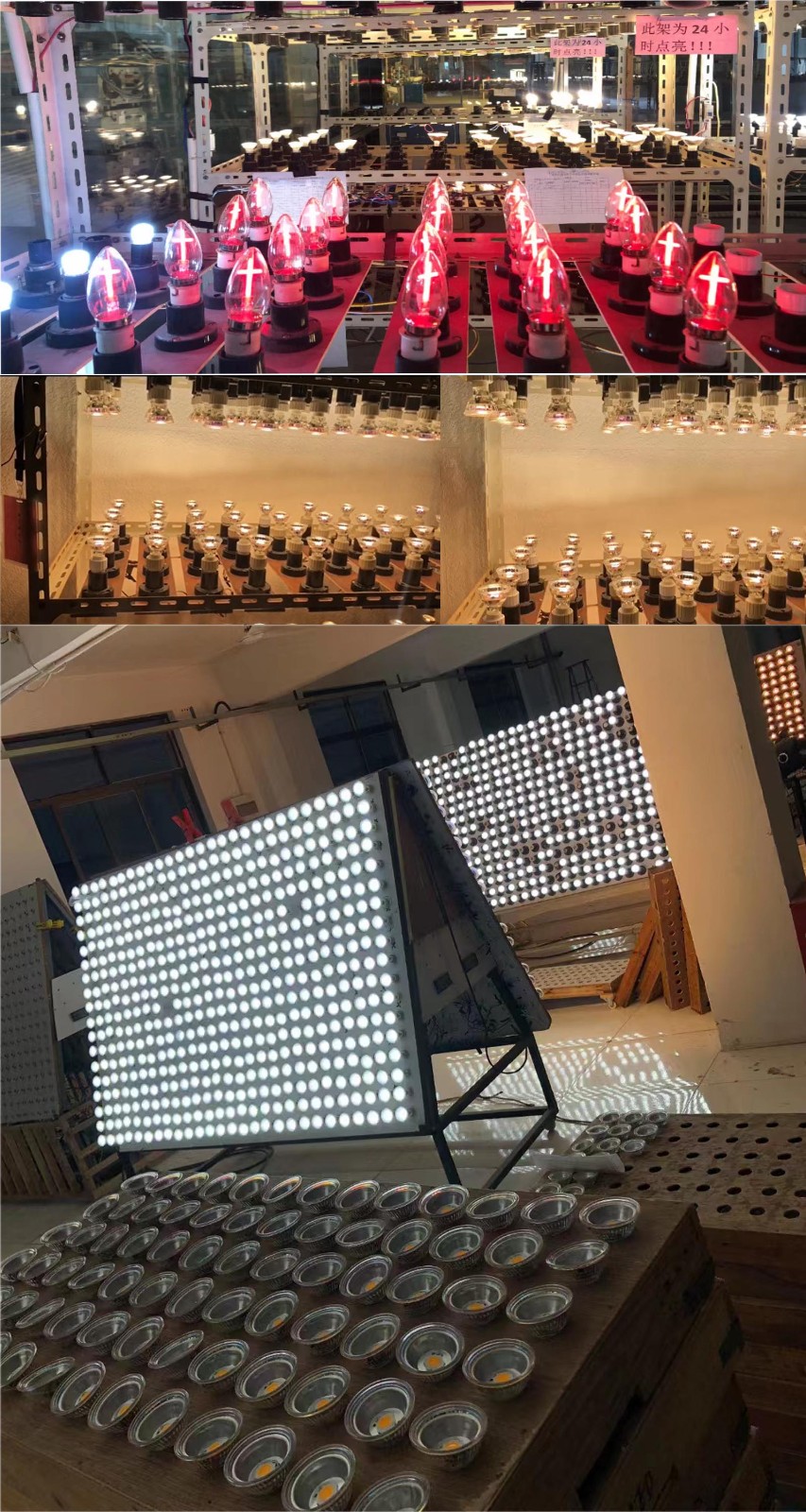 4.老练照.jpg