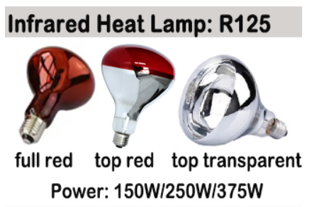 INFRARED HEAT LAMP R125